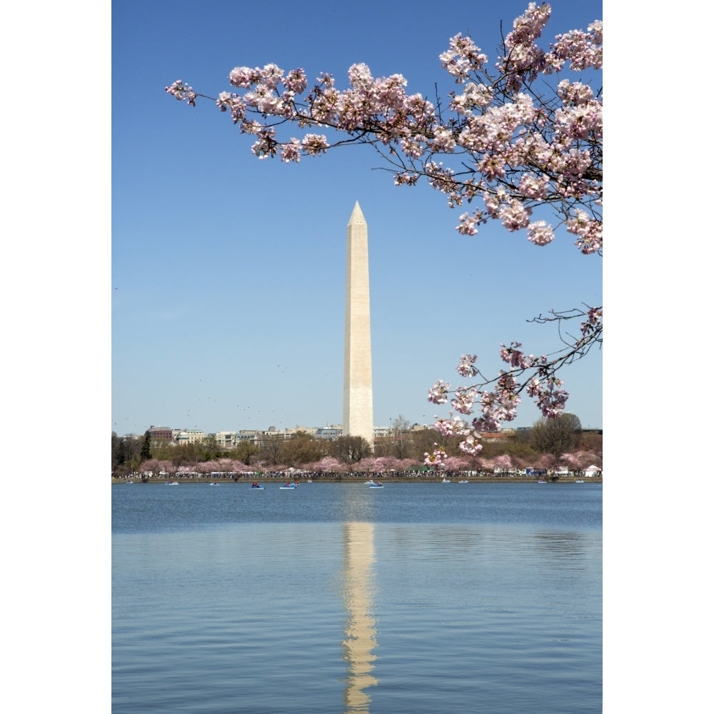 USA Washington D.C. The Washington Monument framed by cherry blossoms Poster Print by Charles Sleicher Image 1