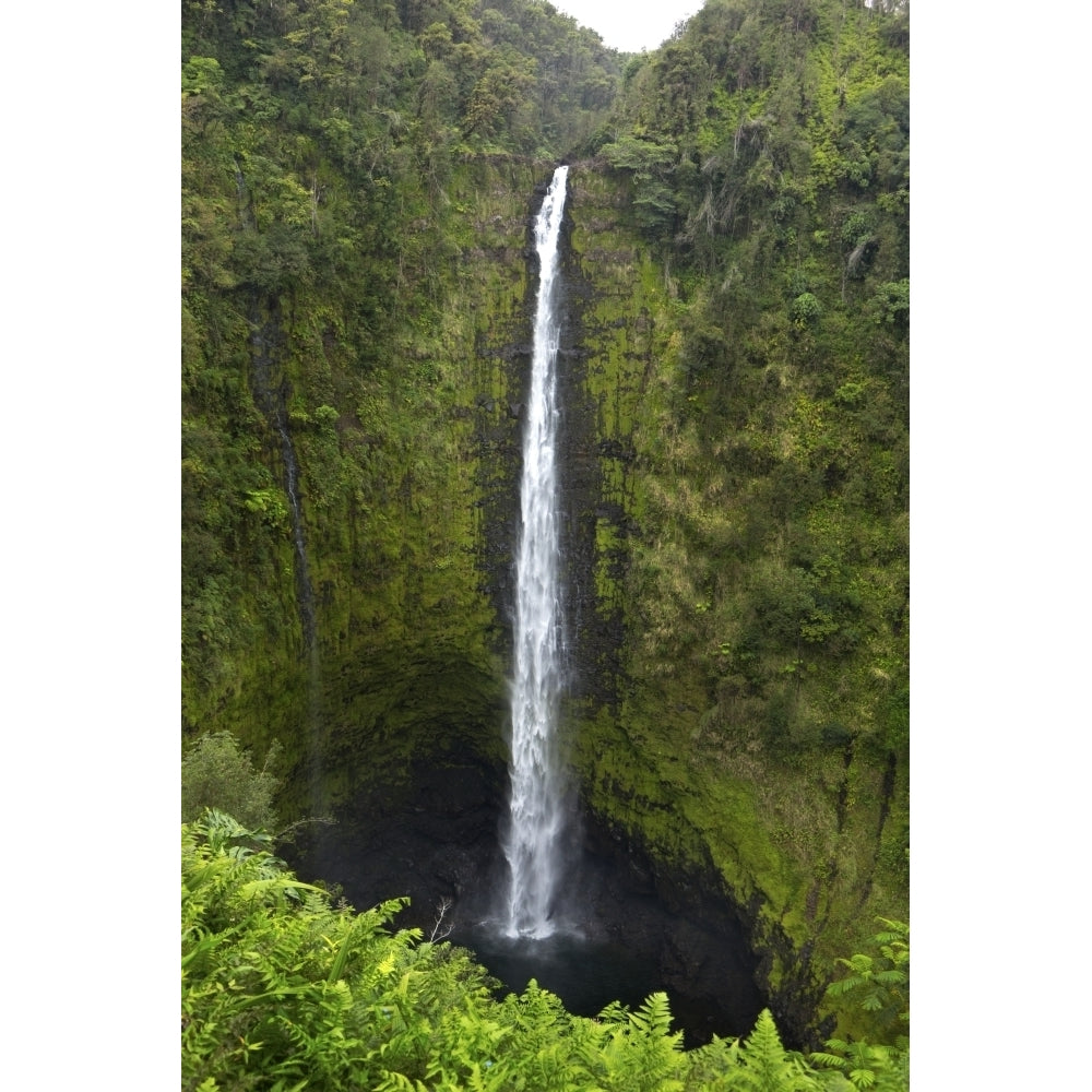 Akaka Falls Hawaii Big Island Poster Print by Gayle Harper Image 1