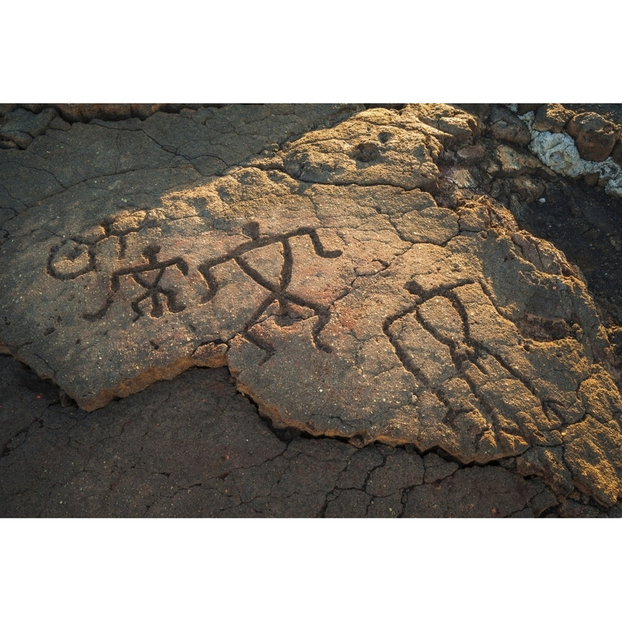 Hawaiian petroglyphs on the Kings Trail at Waikoloa Kohala Coast Big Island Hawaii USA Poster Print by Russ Bishop Image 1