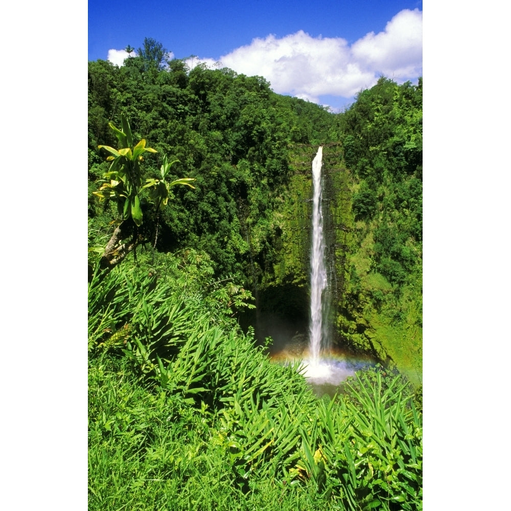 Lush vegetation framing Akaka Falls Akaka Falls State Park The Big Island Hawaii USA. Poster Print by Russ Bishop Image 1