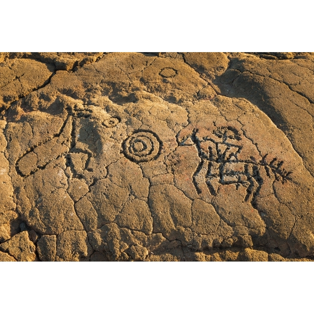 Hawaiian petroglyphs on the Kings Trail at Waikoloa Kohala Coast Big Island Hawaii USA Poster Print by Russ Bishop Image 1