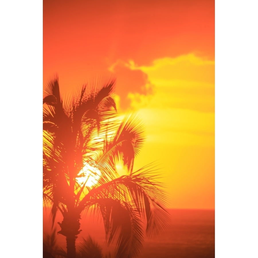 Sunset and palm trees Wailea Maui Hawaii. Poster Print by Stuart Westmorland Image 1