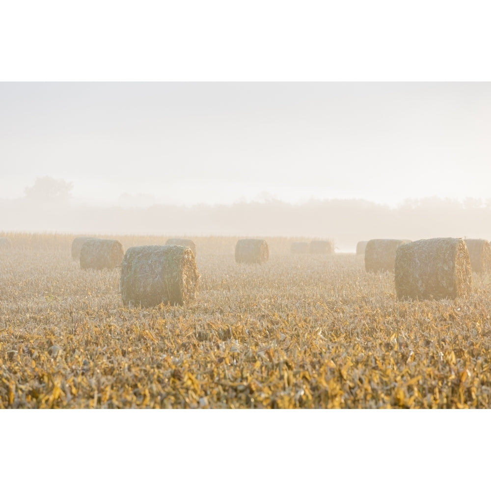 Hay bales in field on foggy morning Marion County Illinois Poster Print by Richard and Susan Day Image 1