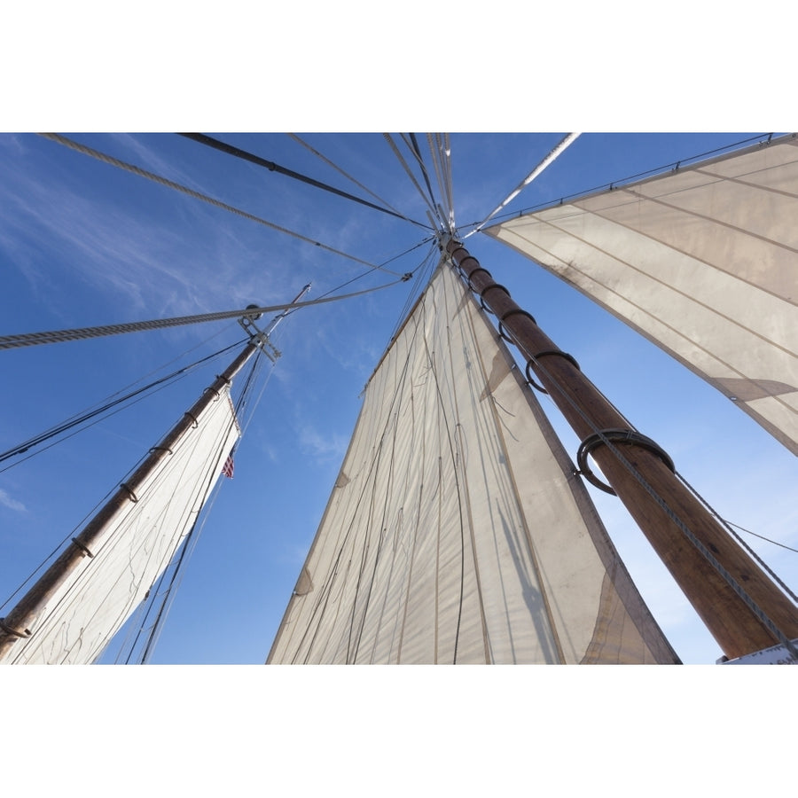 USA Massachusetts Cape Ann Gloucester. Gloucester Schooner Festival schooner sails Poster Print by Walter Bibikow Image 1