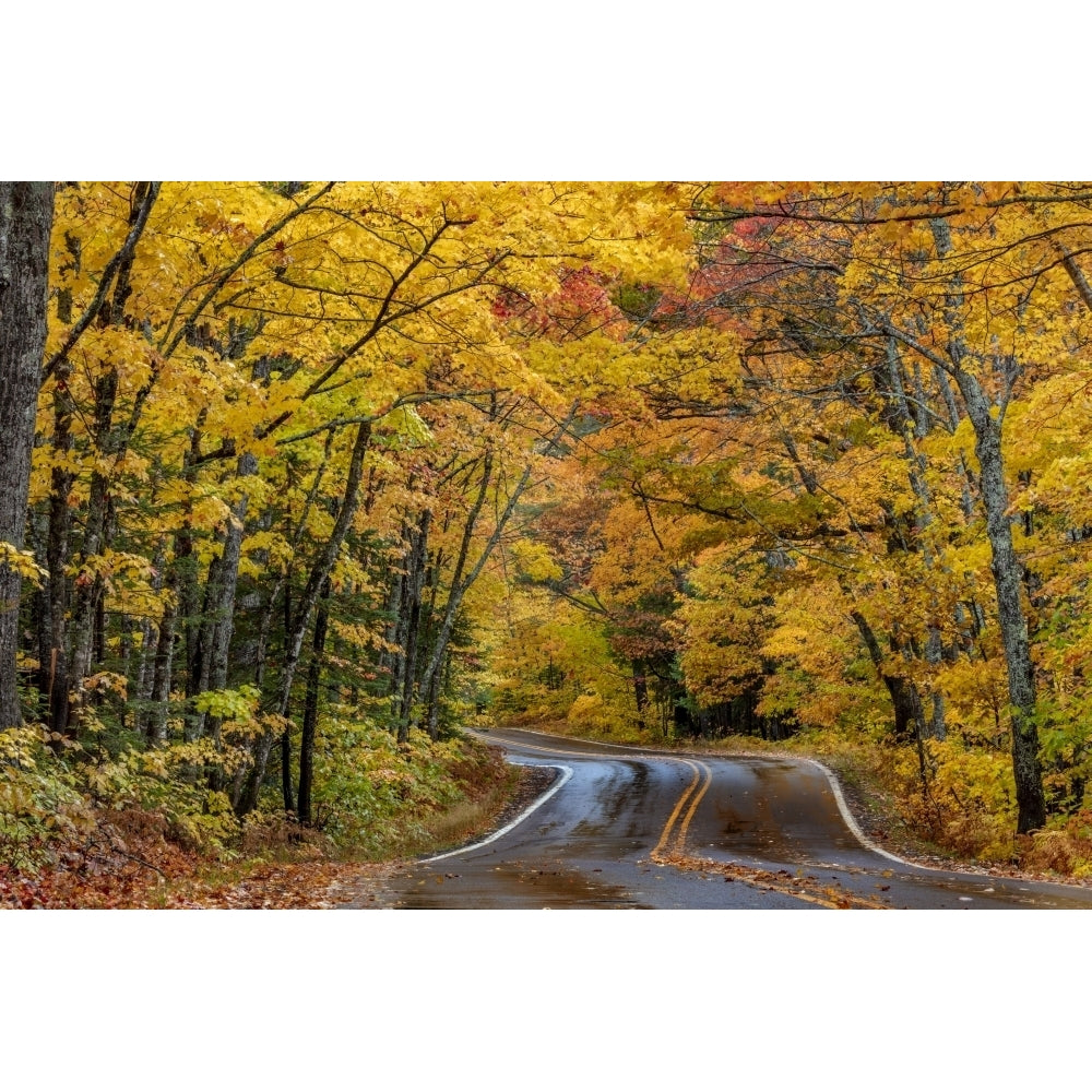 Highway 41 covered roadway in autumn near Copper Harbor in the Upper Peninsula of Michigan USA Poster Print by Chuck Image 1