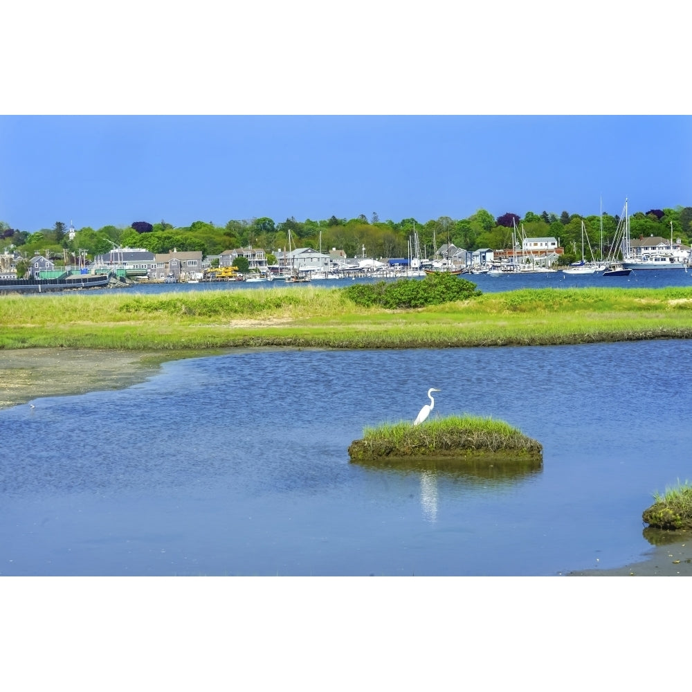 Great white egret marsh Padanaram Village Harbor Bridge Buzzards Bay Massachusetts USA. Poster Print by William Perry Image 1