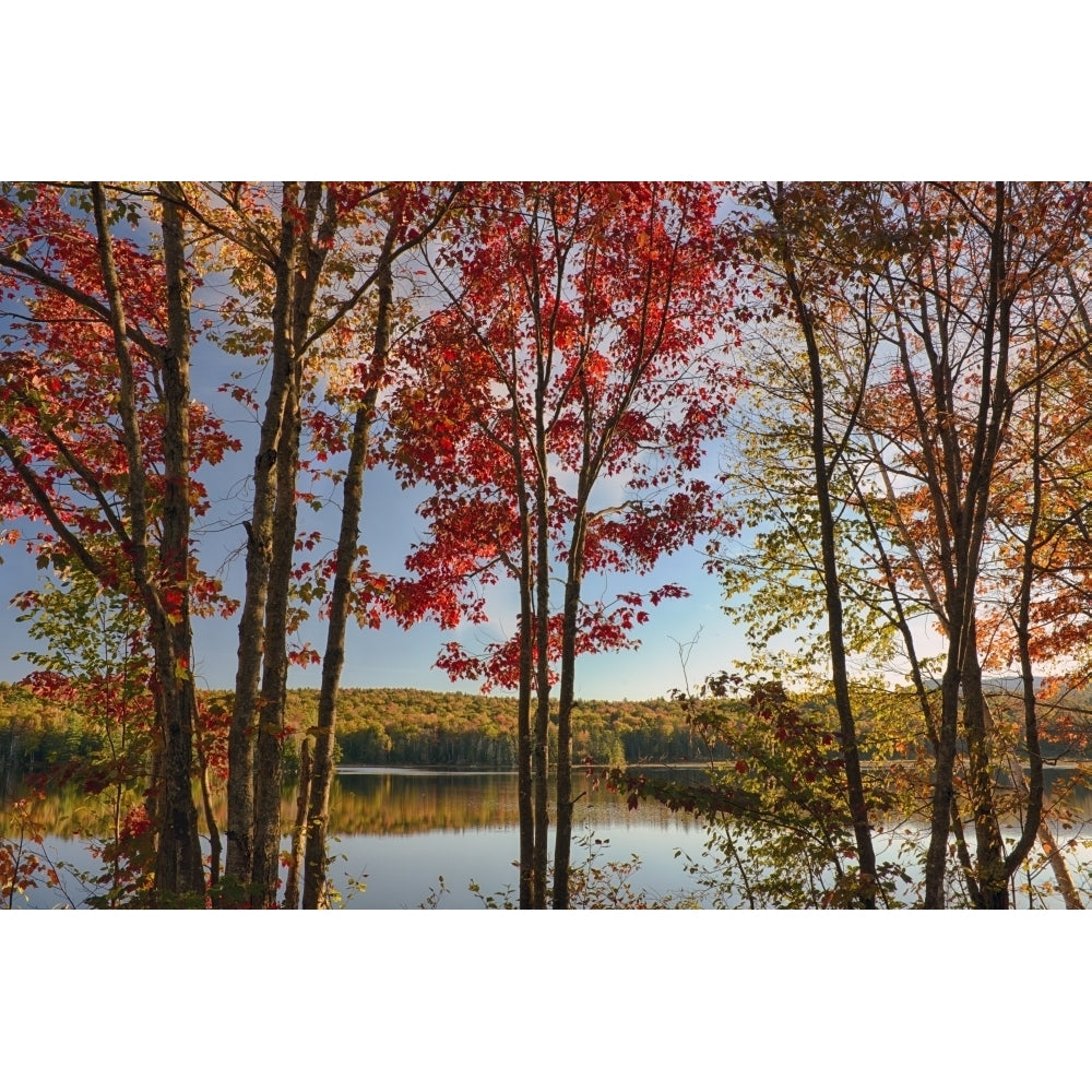 USA York State. Lake Durant framed by autumn maples Adirondack Mountains. Poster Print by Chris Murray Image 1