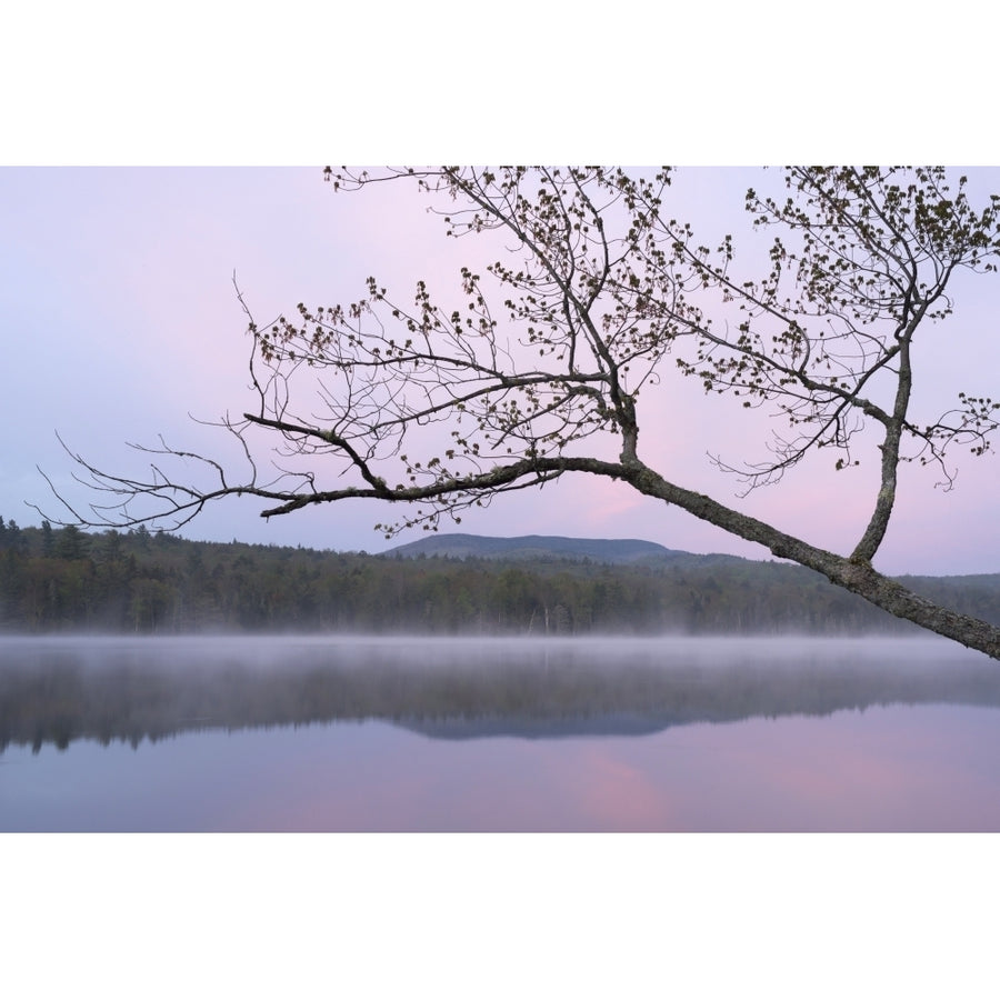 USA York State. Morning mist and reflections on Lake Durant Adirondack Mountains Poster Print by Chris Murray Image 1