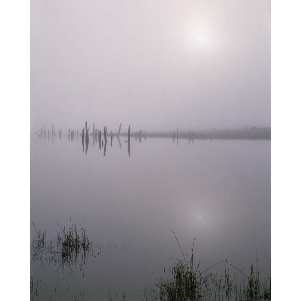 Oregon. Deschutes NF early morning sun breaks through fog over Crane Prairie Reservoir. Poster Print by John Barger Image 1