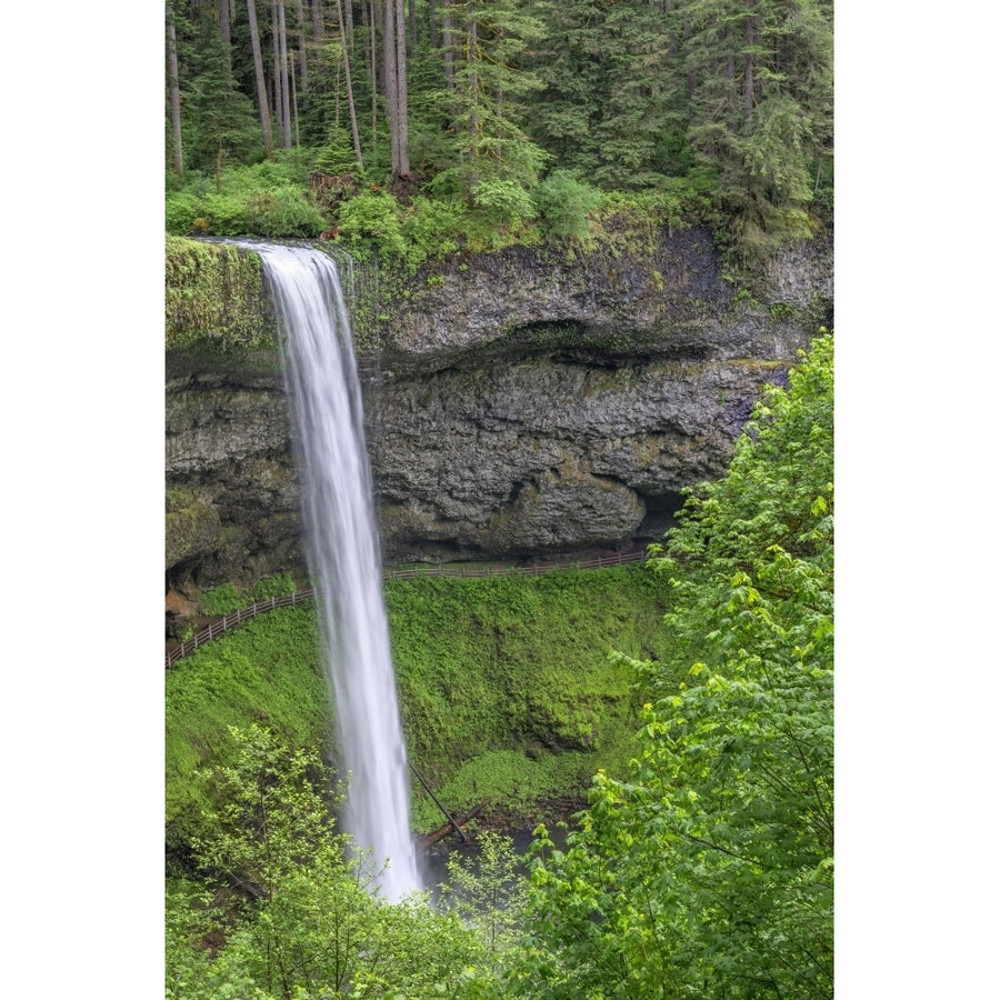 Oregon. Silver Falls State Park spring flow of South Fork Silver Creek Poster Print by John Barger Image 1