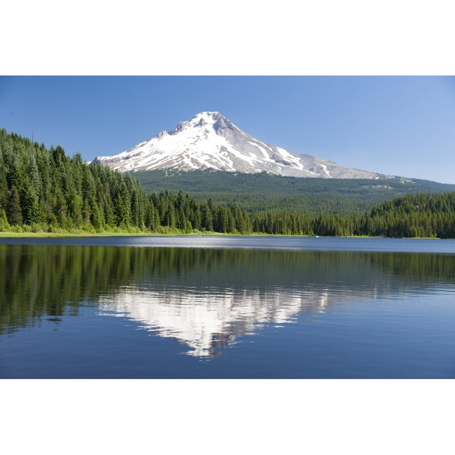 Trillium Lake Mt. Hood National Forest Mt. Hood in the background Oregon USA Poster Print by Stuart Westmorland Image 1