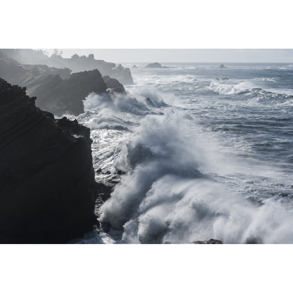 Winter storm watching Shore Acres State Park Southern Oregon Coast USA Poster Print by Stuart Westmorland Image 1