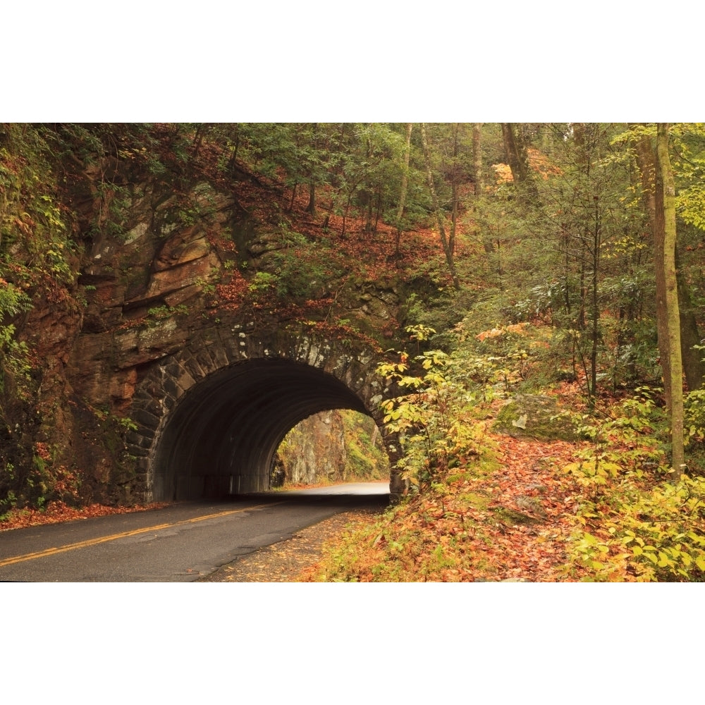 USA Tennesse. Tunnel along the road to Cades Cove in the fall. Poster Print by Joanne Wells Image 1