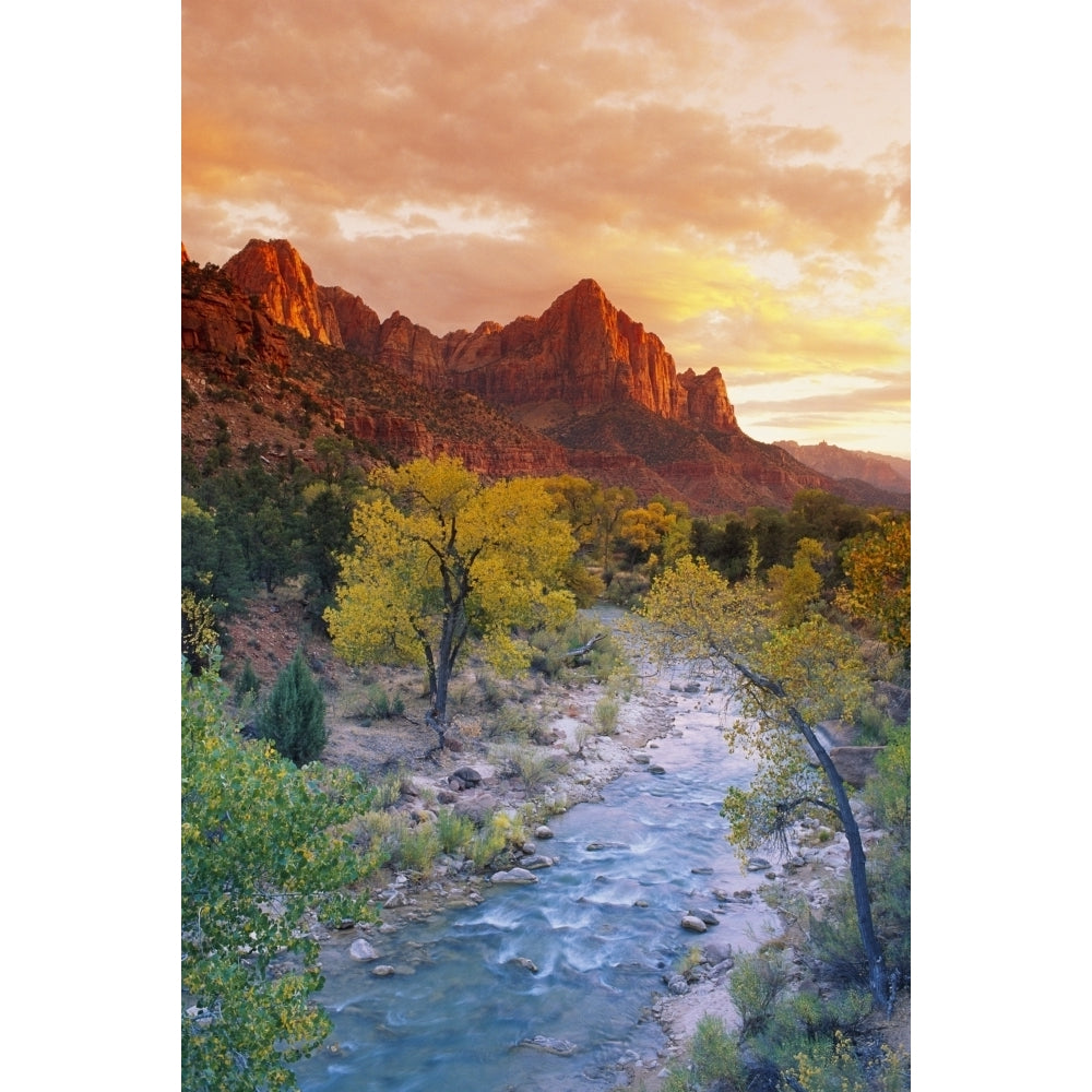 Evening light on Watchman Peak above the Virgin River Zion Canyon Zion National Park Utah USA. Poster Print by Russ Image 1