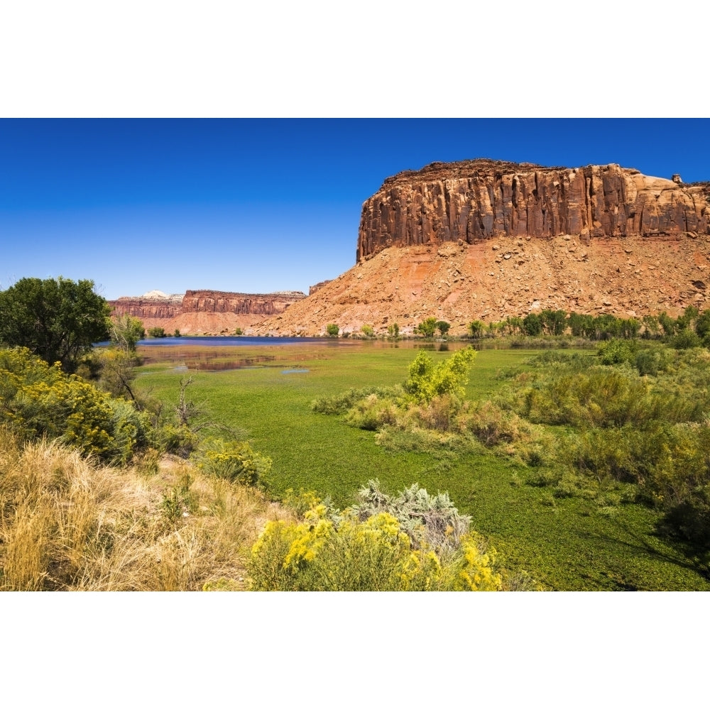 Red cliffs above the Dugout Reservoir Indian Creek Canyon Utah Poster Print by Russ Bishop Image 1