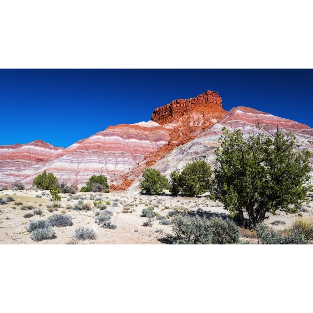 Evening light on the Cockscomb Grand Staircase-Escalante National Monument Utah USA Poster Print by Russ Bishop Image 1