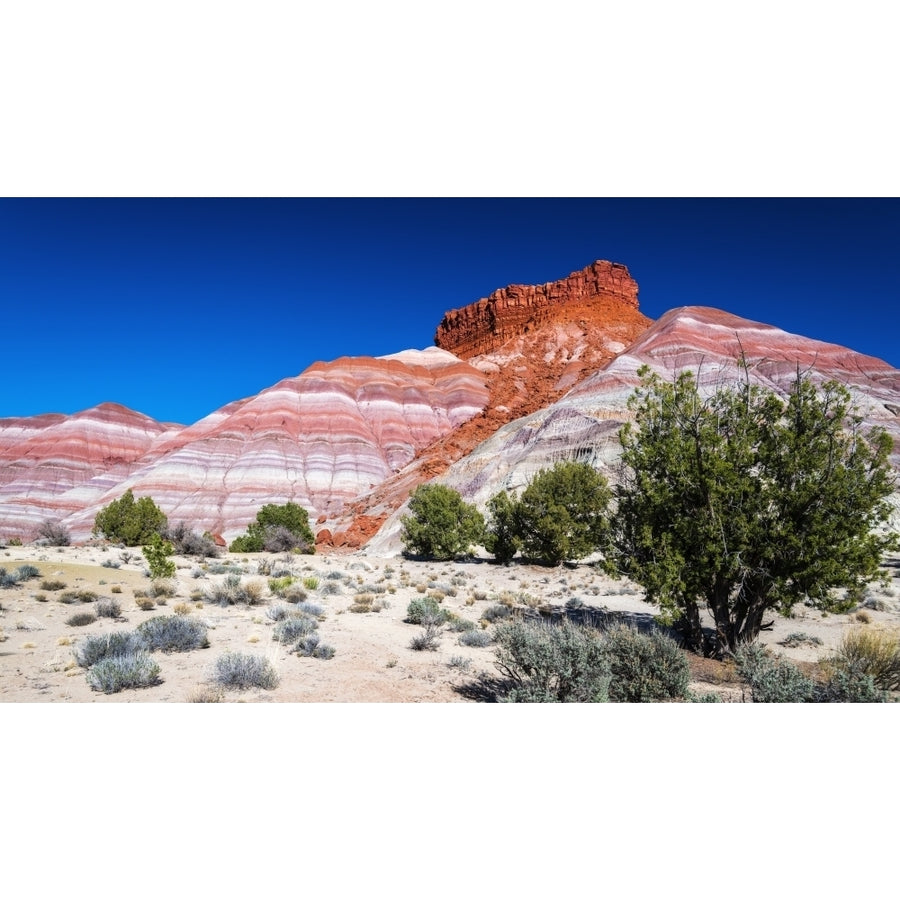 Evening light on the Cockscomb Grand Staircase-Escalante National Monument Utah USA Poster Print by Russ Bishop Image 1