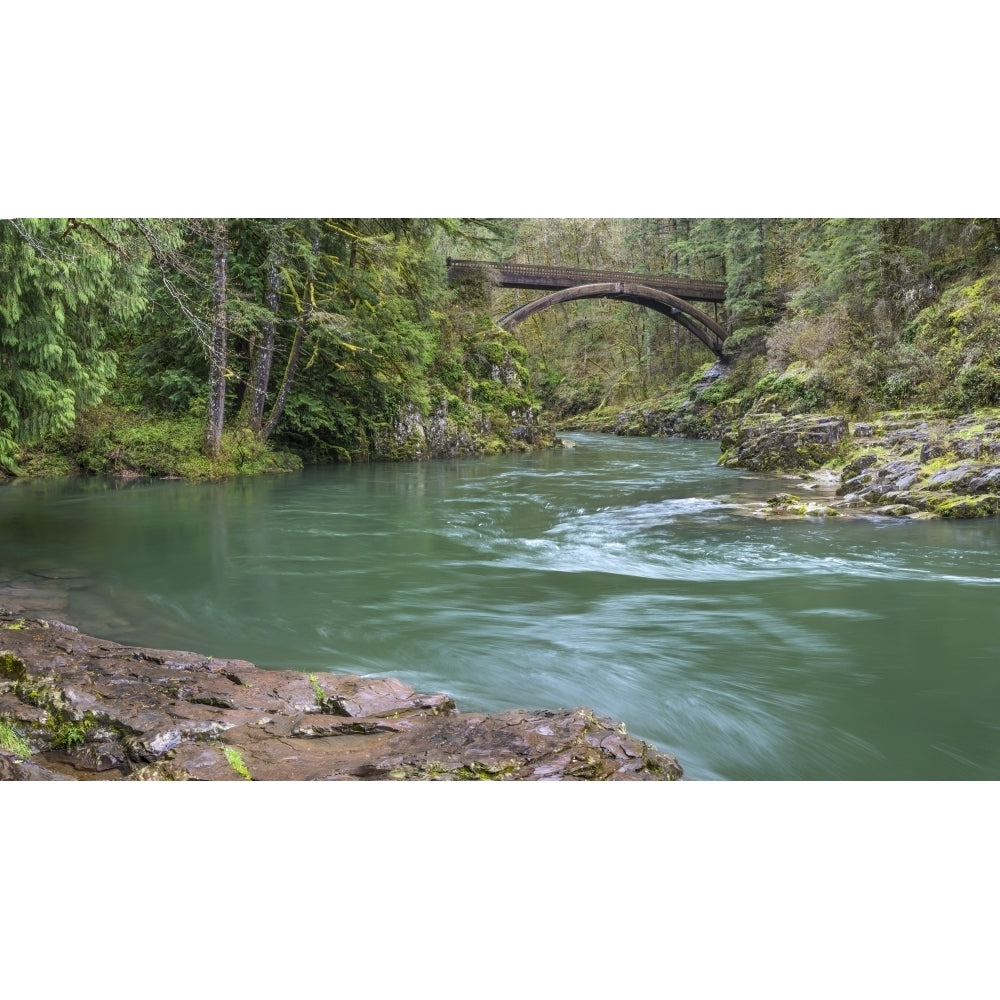 USA Washington State Moulton Falls Regional Park. Lewis River landscape with bridge. Poster Print by Jaynes Gallery Image 1