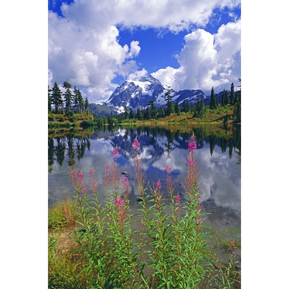 Clearing storm over Mount Shuksan from Picture Lake North Cascades National Park WA USA Poster Print by Russ Bishop Image 1