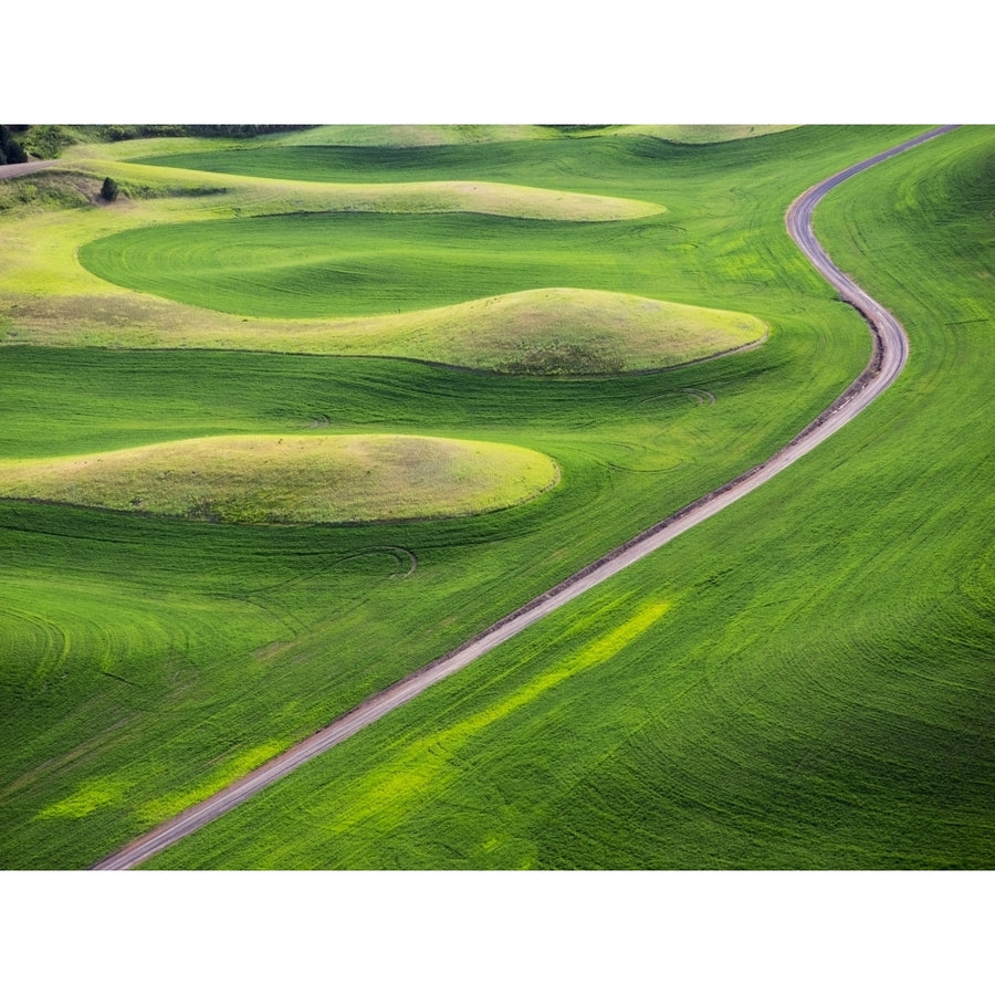 USA Washington State. Aerial of Palouse Region. Poster Print by Terry Eggers Image 1