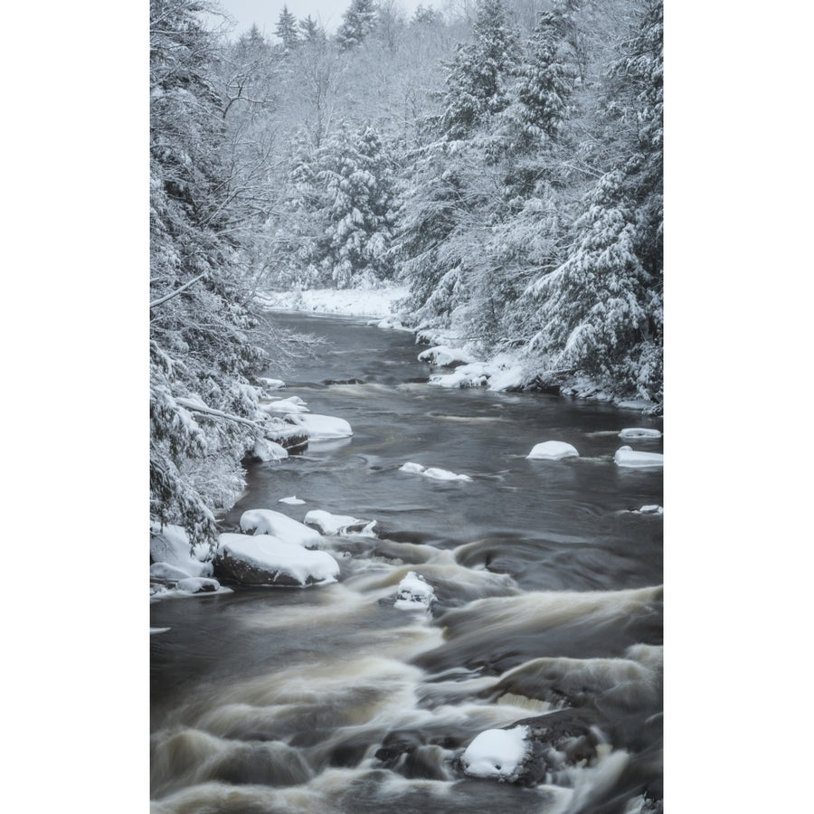 USA West Virginia Blackwater Falls State Park. Forest and stream in winter. Poster Print by Jaynes Gallery Image 1