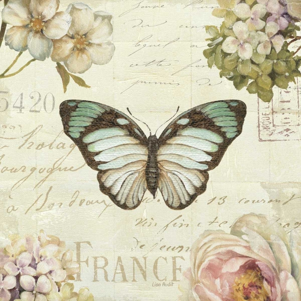 Marche de Fleurs Butterfly II Poster Print by Lisa Audit Image 1