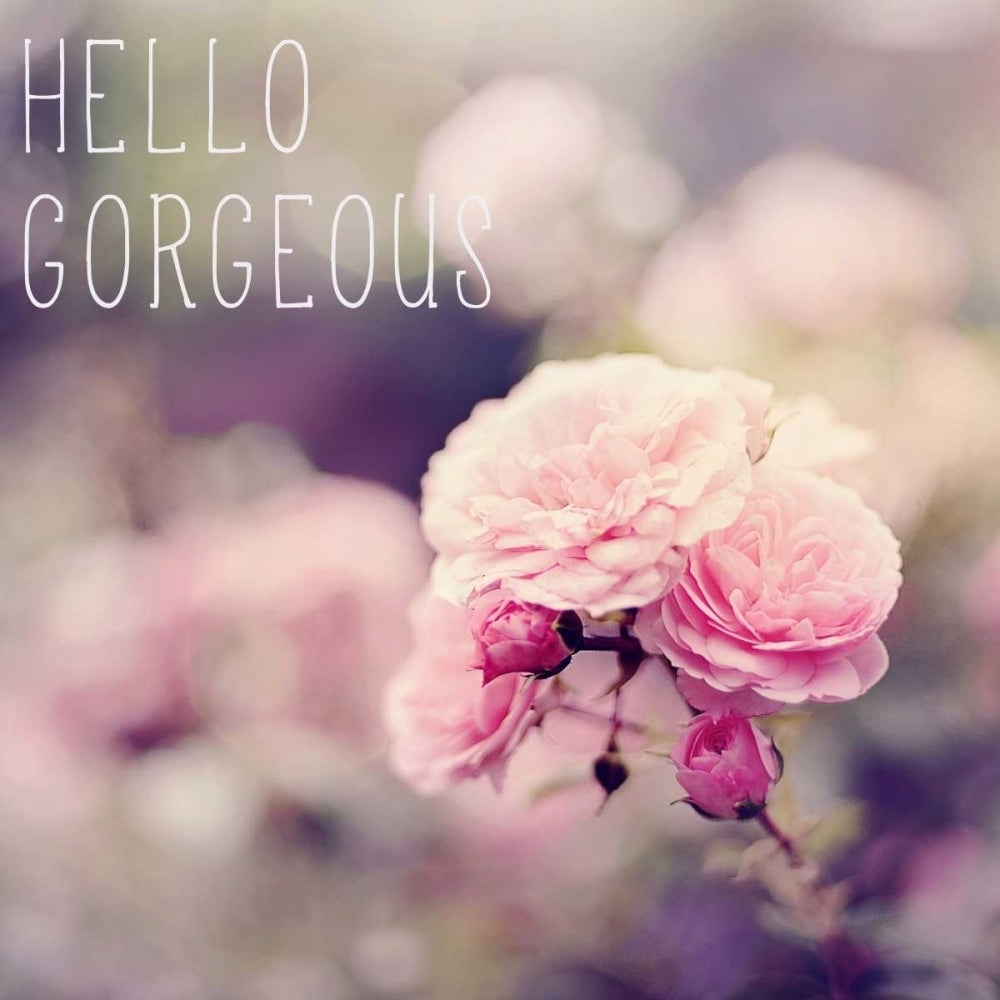 Hello Gorgeous Poster Print by Sarah Gardner Image 1