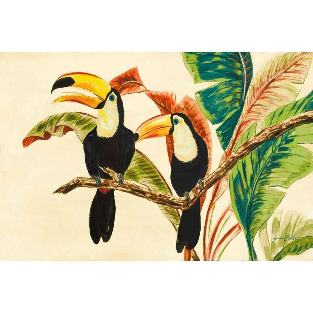 Tropical Toucans I Poster Print by Linda Baliko Image 1