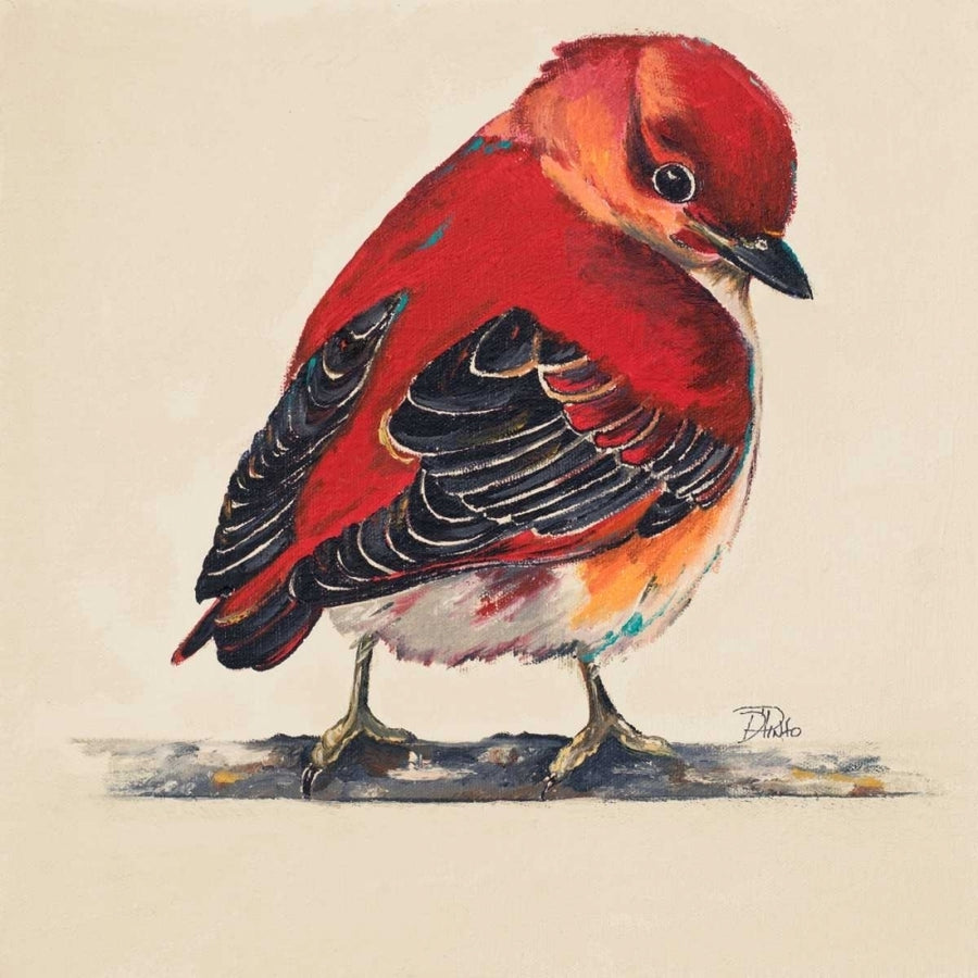 Baby Red Bird I Poster Print by Patricia Pinto Image 1