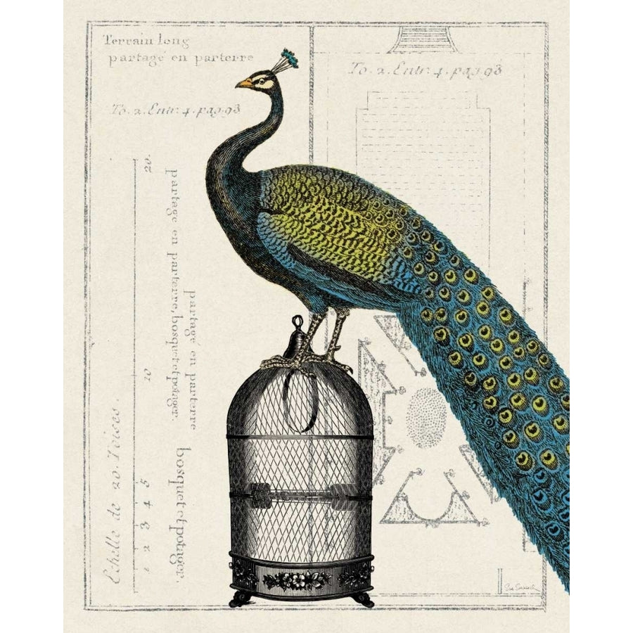 Peacock Birdcage II Poster Print by Sue Schlabach Image 1