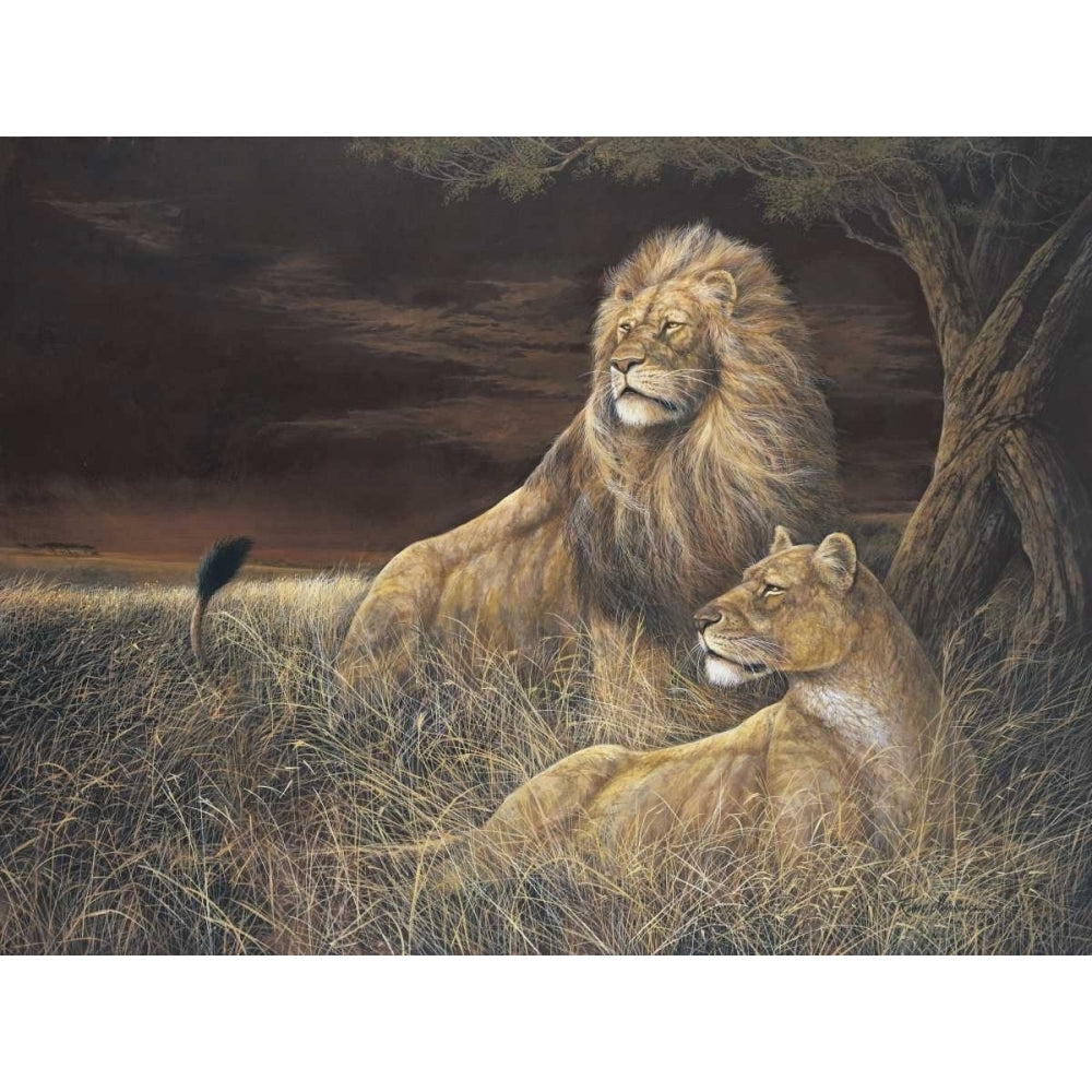 Winds of the Serengeti Poster Print by Ruane Manning Image 1