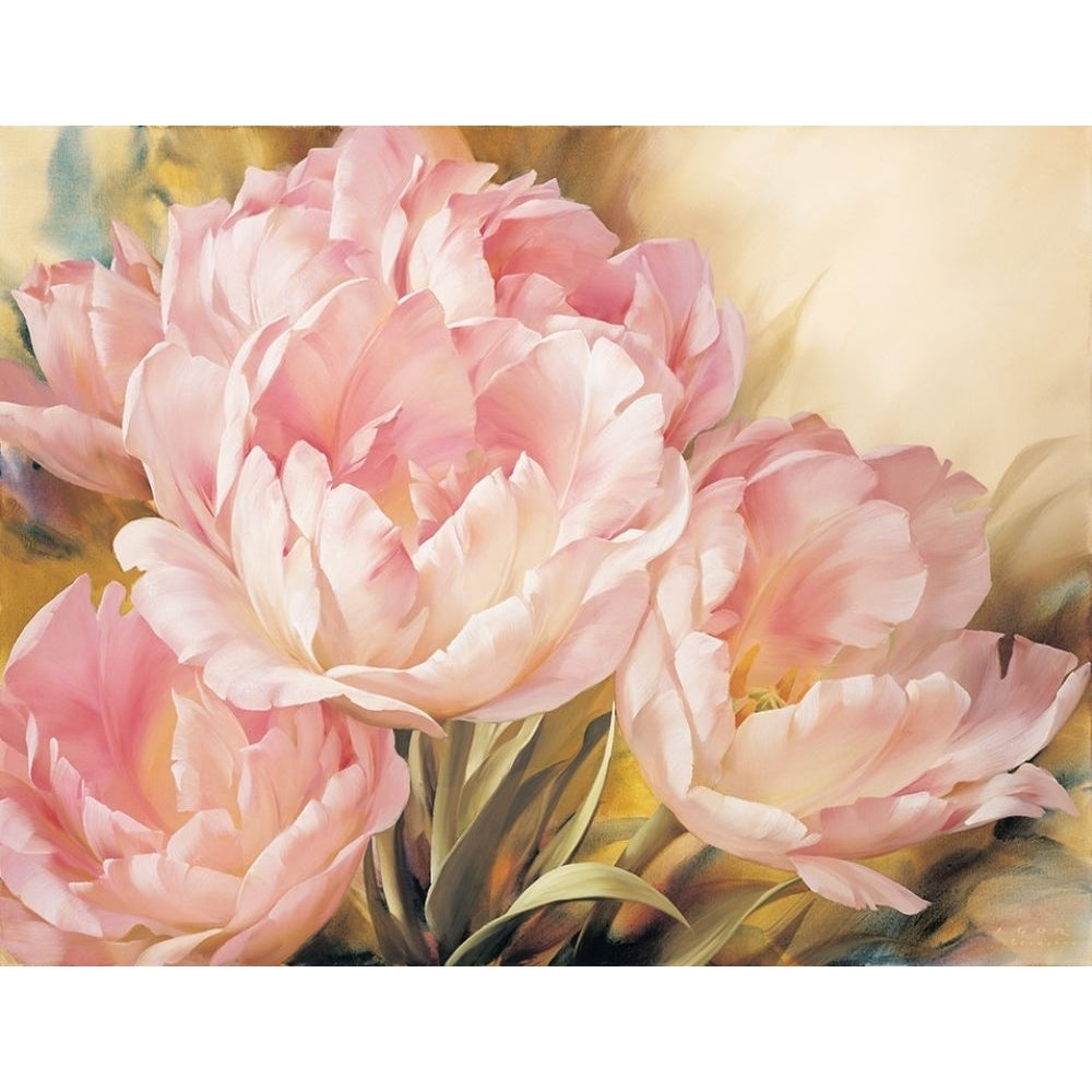 Angelique Tulips I Poster Print by Igor Levashov Image 1