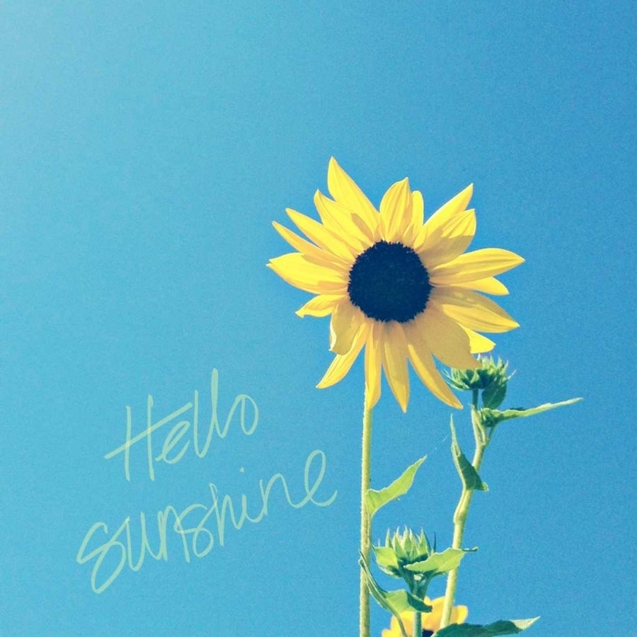 Hello Sunshine Poster Print by Lisa Hill Saghini Image 1