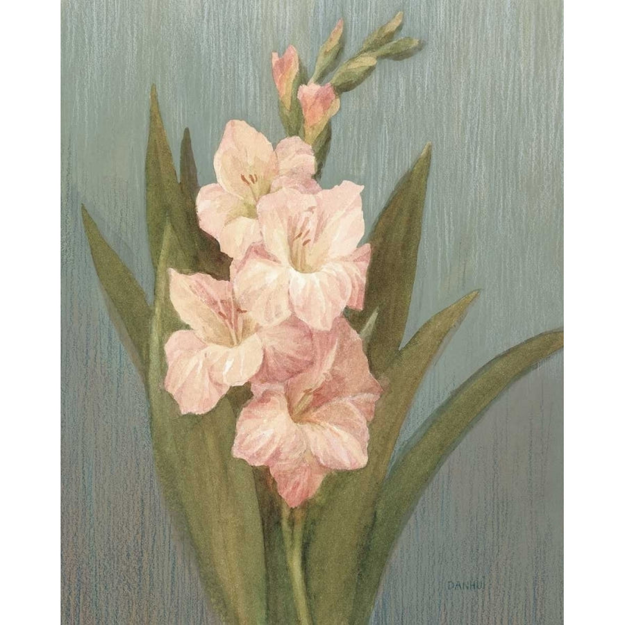 August Gladiola Poster Print by Danhui Nai Image 1