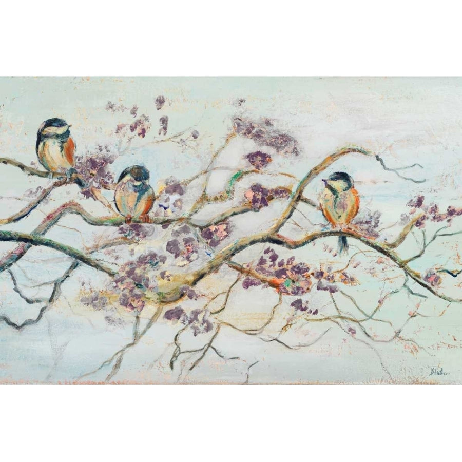 Birds On Cherry Blossom Branch Poster Print by Patricia Pinto Image 1