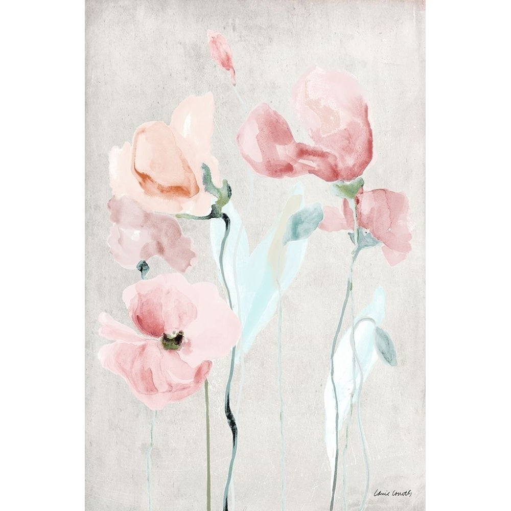 Soft Pink Poppies II Poster Print by Lanie Loreth Image 1