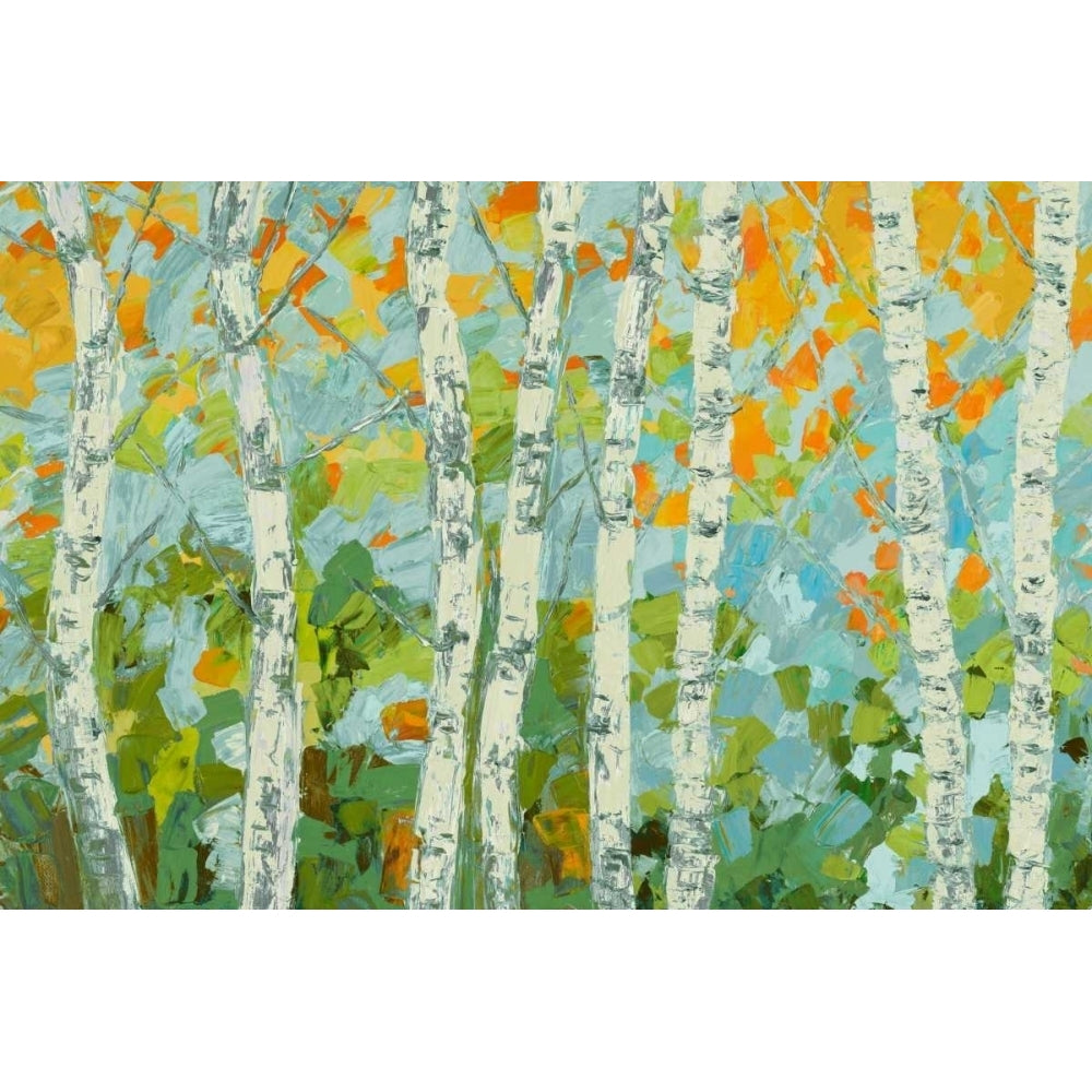 Autumn Dancing Birch Tree I Poster Print by Ann Marie Coolick Image 1