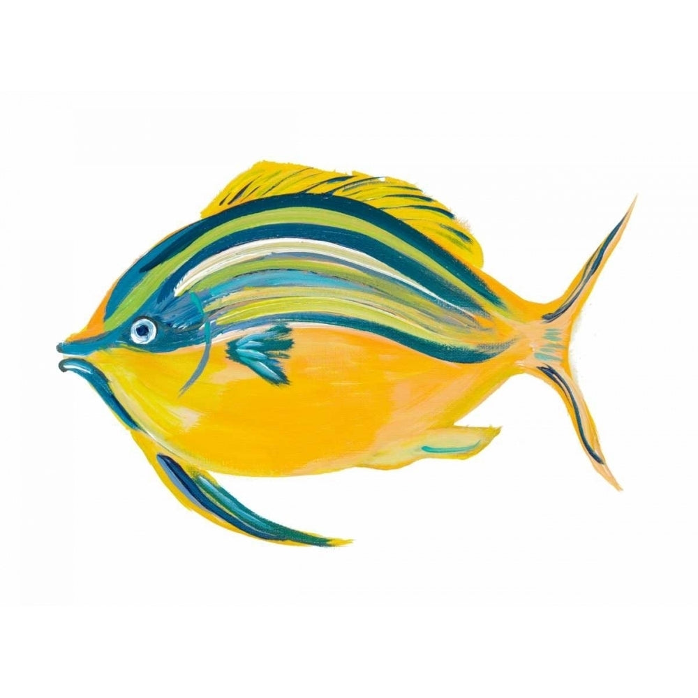 Fishy III Poster Print by Julie DeRice Image 1