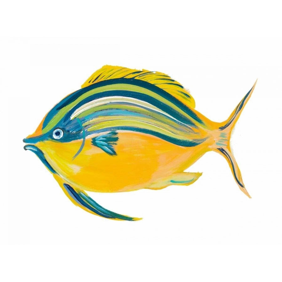 Fishy III Poster Print by Julie DeRice Image 1