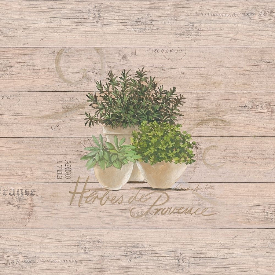 Herbes de Provence Poster Print by Claudia Ancilotti Image 1