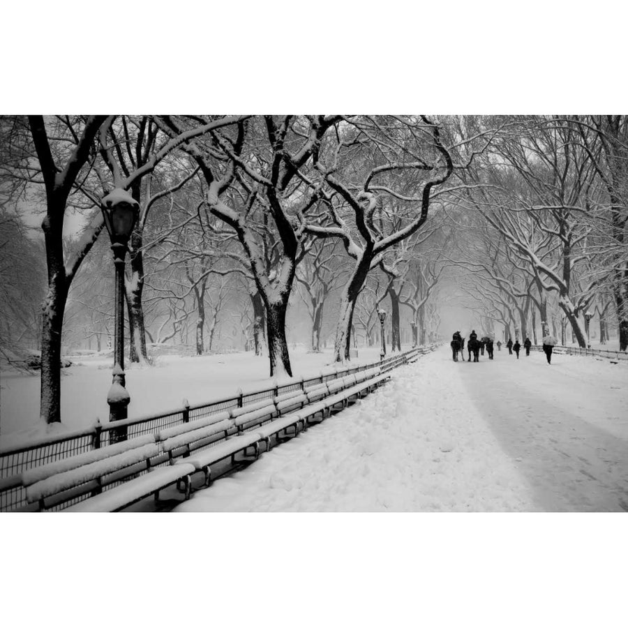 Central Park Snow Poster Print by Bill Carson Photography Image 1