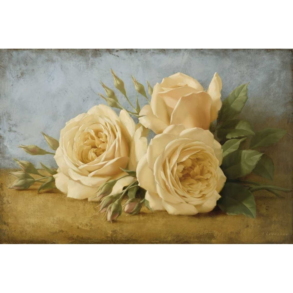 Roses from Ivan Poster Print by Igor Levashov Image 1