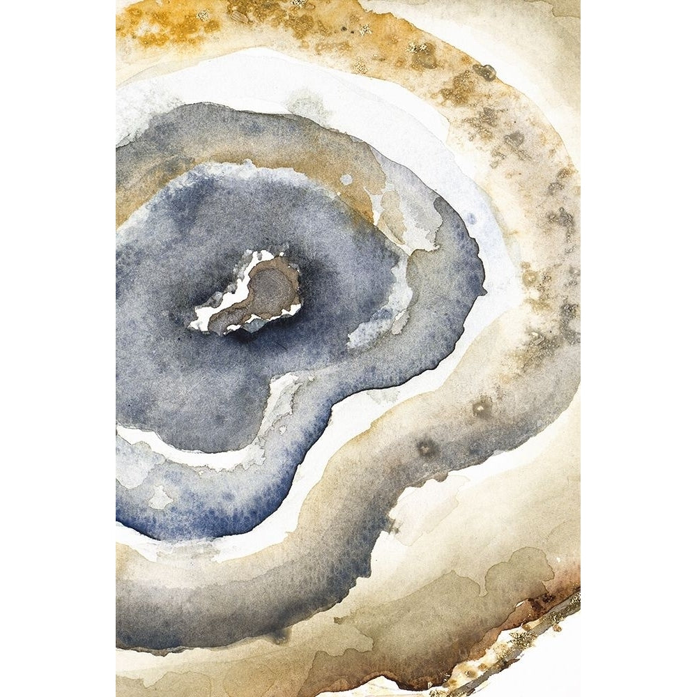 Up Close Agate II Poster Print by Patricia Pinto 11992BC Image 1