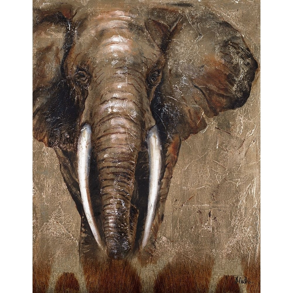 Brown Elephant Poster Print by Patricia Pinto Image 1