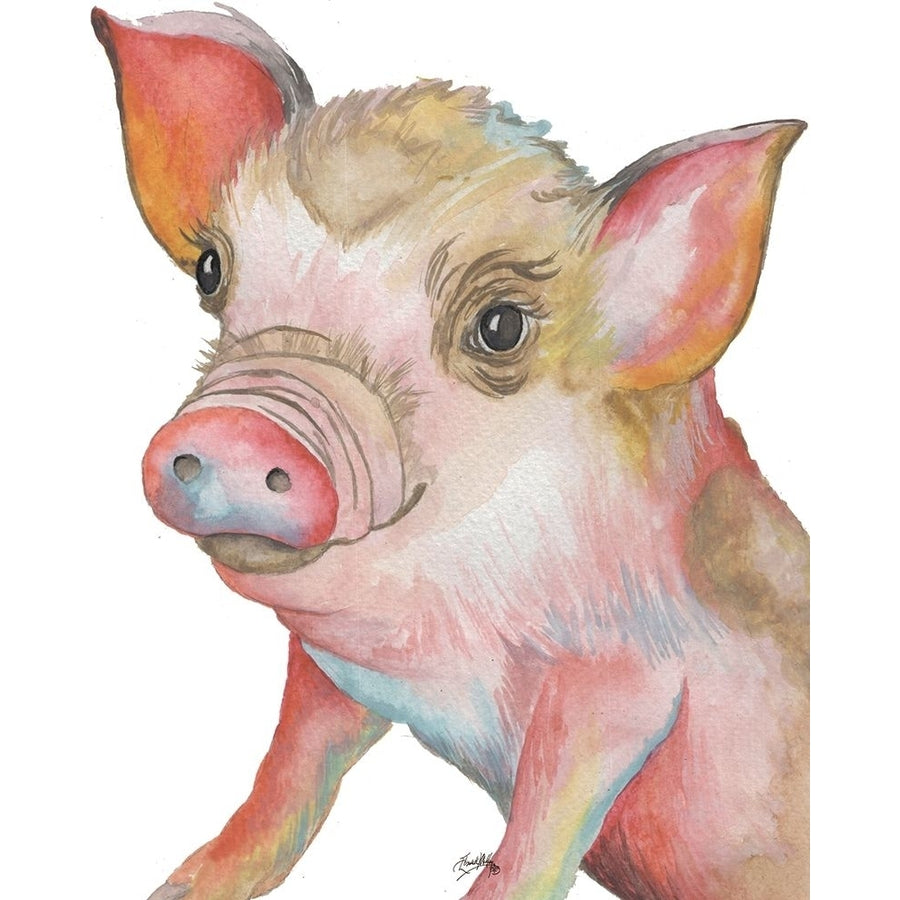 Pig II Poster Print by Elizabeth Medley Image 1