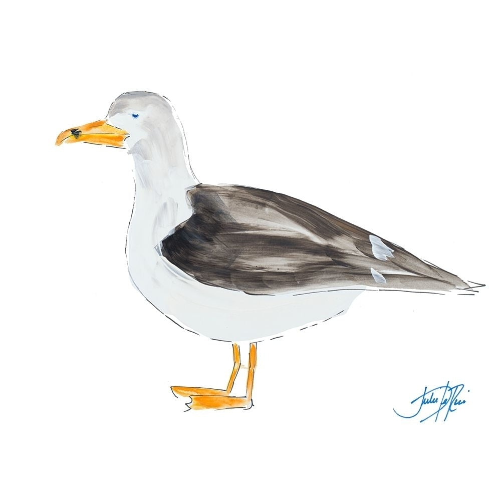 Seagull on White Poster Print by Julie DeRice Image 1