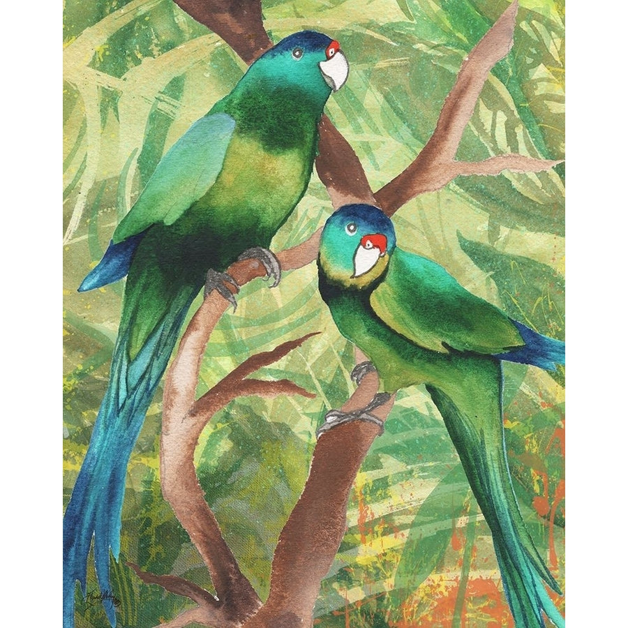 Tropical Birds II Poster Print by Elizabeth Medley Image 1