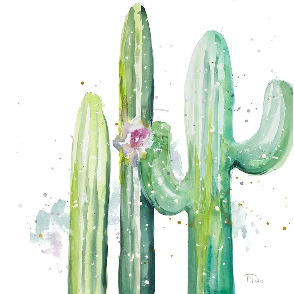 Desert Cactus Poster Print by Patricia Pinto Image 1