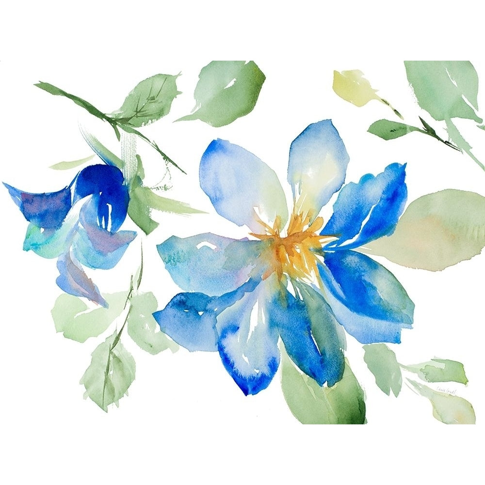 Clematis in Blue Shades Poster Print by Lanie Loreth Image 1