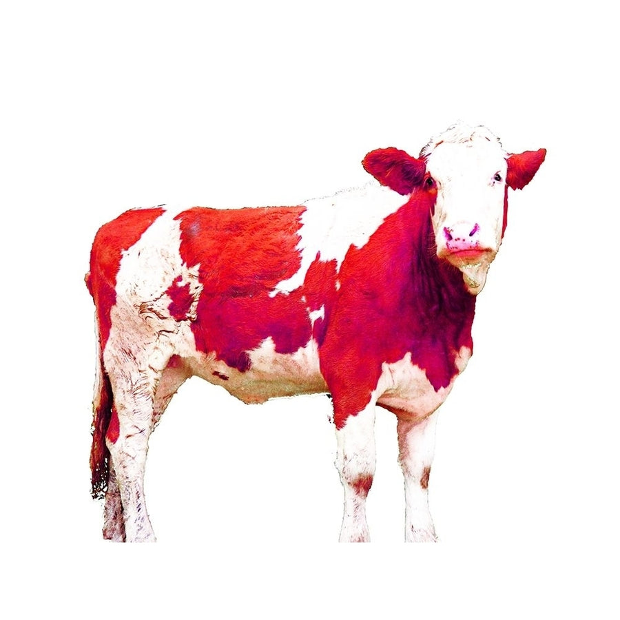 Bright Red Swiss Cow Poster Print by JB Hyler Image 1